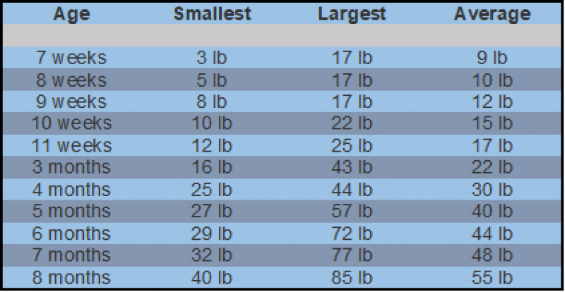 Lbs chart vs kg 894110000 kg